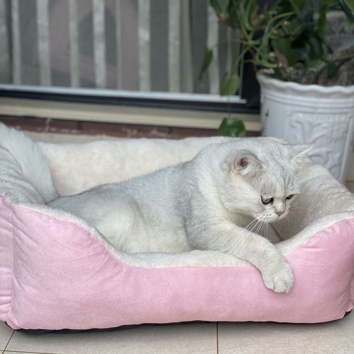 Nid de chat carré chaud d'hiver pour animaux de compagnie