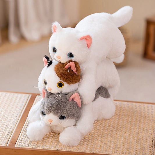 Chat mignon enfants accompagnent chaton poupée peluche jouet filles anniversaire