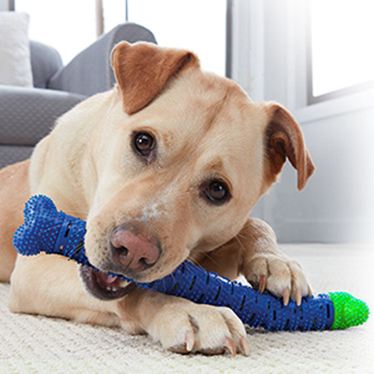 Limpiador de dientes molares para mascotas de color azul y verde, palo de cepillado, suministros de limpieza, cepillo de dientes, juguetes para perros, limpieza de perros