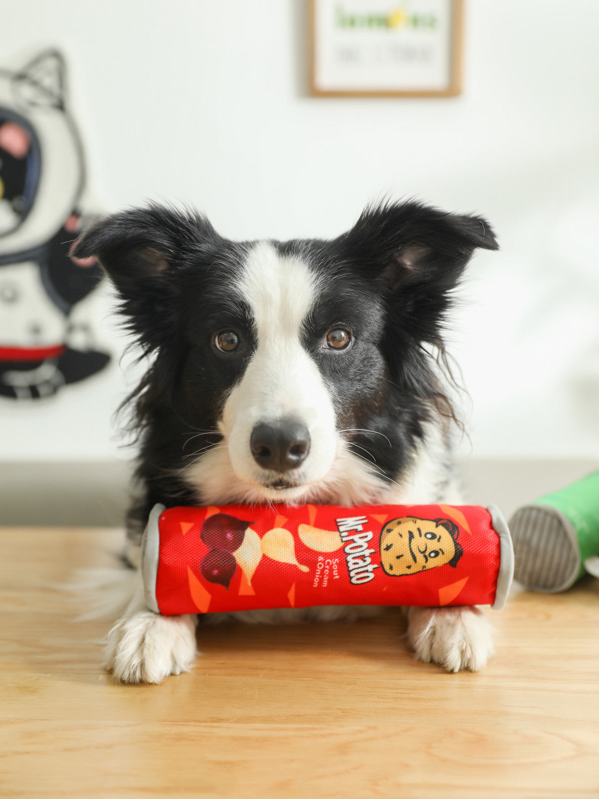 Appelle les aliments cuits pour soulager l'ennui Artefact Animaux Jouets en peluche résistants aux morsures