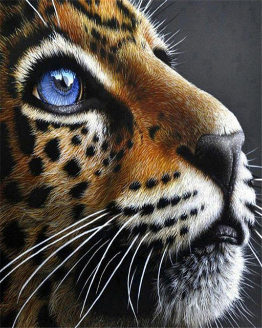 Kit de tigre, marco de fotos artesanal, imagen por número, Animal, arte pintado a mano, regalo, decoración del hogar