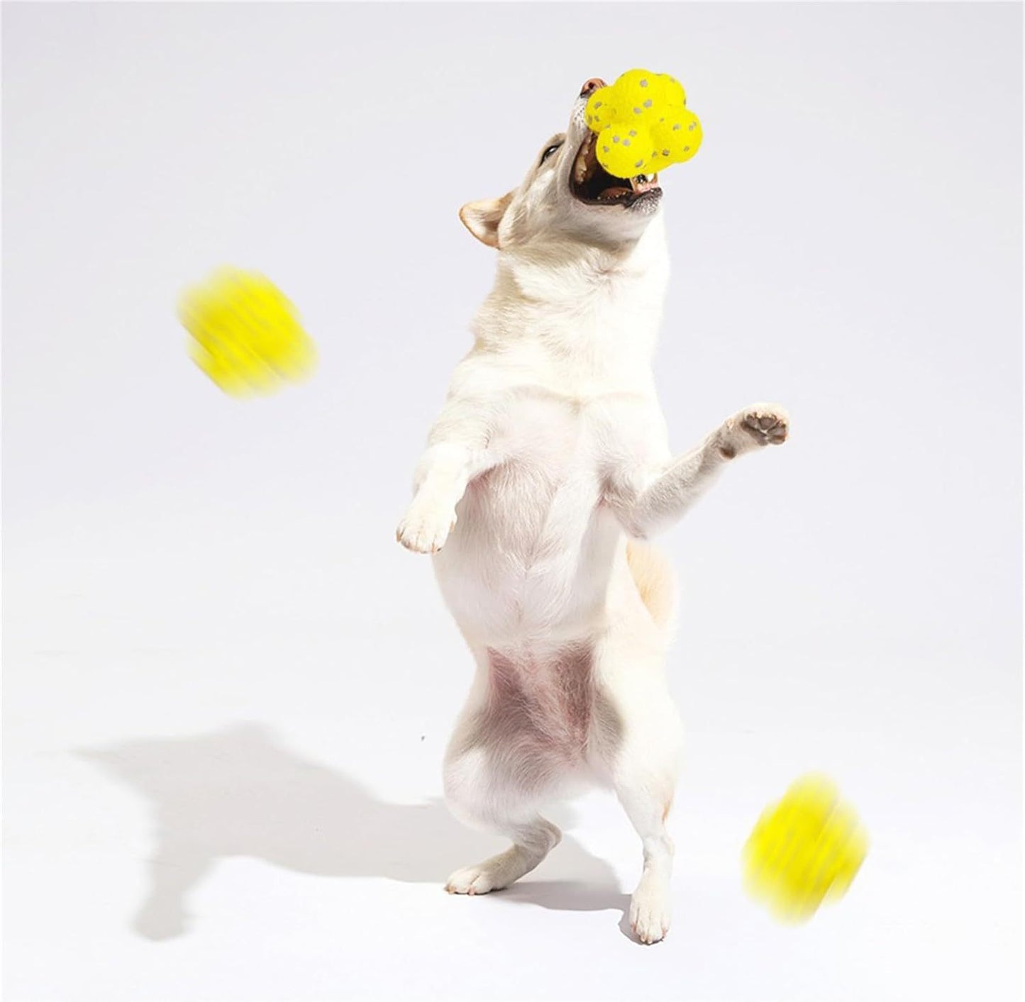 Pelota calmante para perros Mellow, pelota de tenis para perros Mellow, pelota de apoyo emocional para perros Mellow