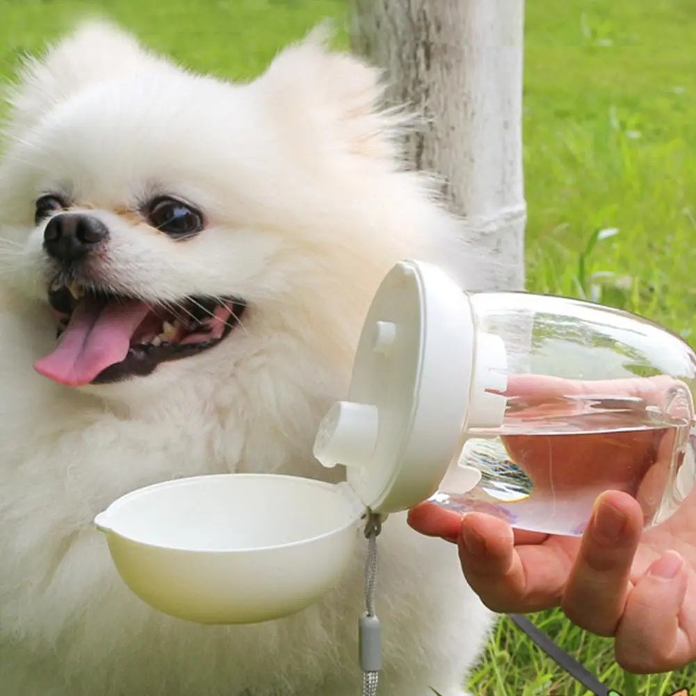 Bouteille d'eau portable pour animaux de compagnie, bol d'alimentation pour voyage en plein air avec cordon pour petits et moyens chats et chiens, fournitures pour animaux de compagnie, résistance aux hautes températures