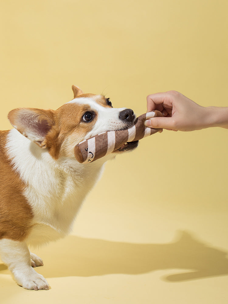 Puppy Puppy Plush Educational Toys