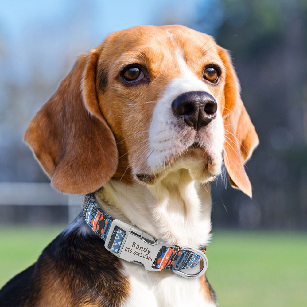 Collar de perro de nailon ajustable, identificación personalizada para perros y gatos