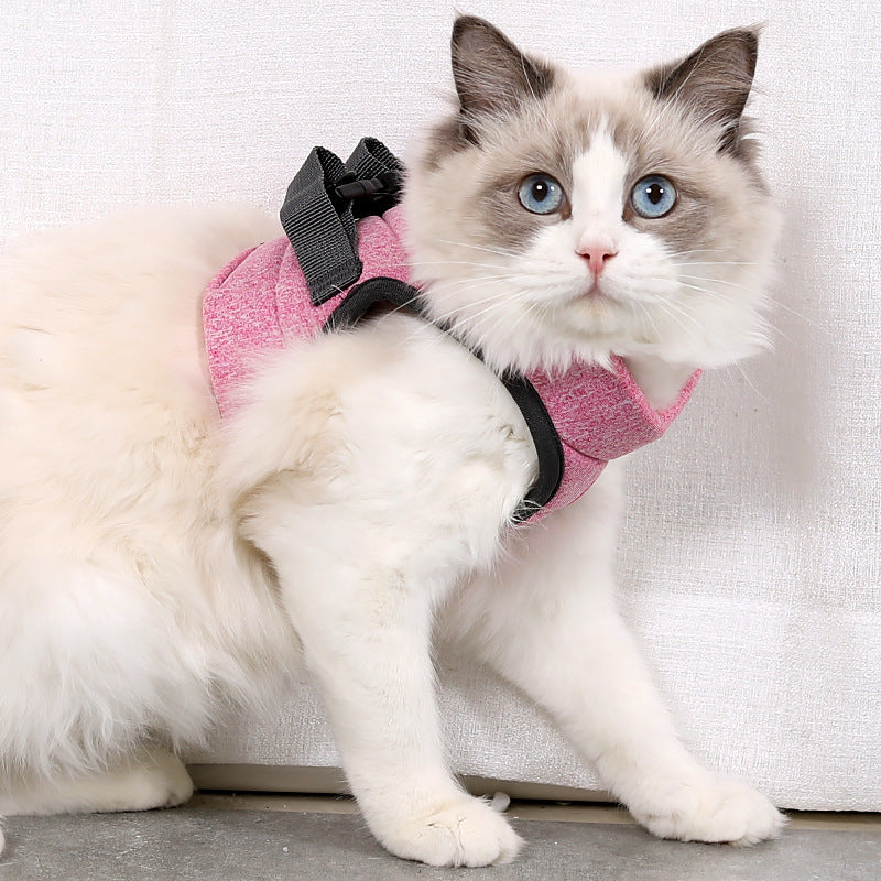 Gilet anti-chute en éponge, corde de traction pour chat