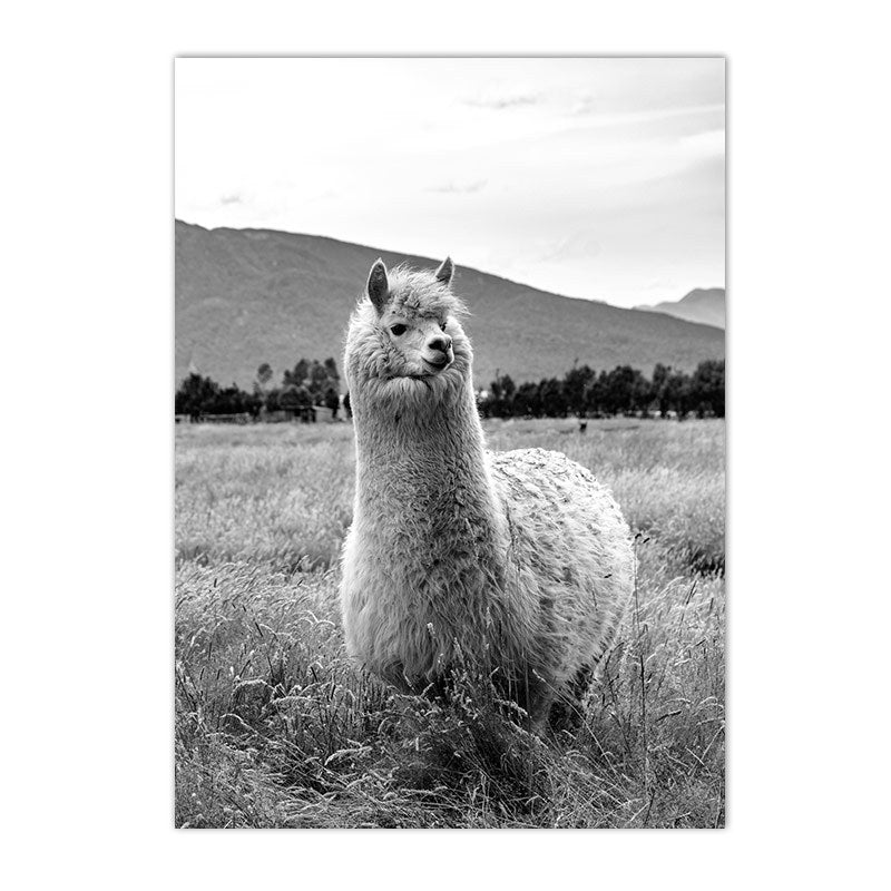 Black And White Animal Poster Camel Canvas Print Modern Mural Art Living Room Home Decor