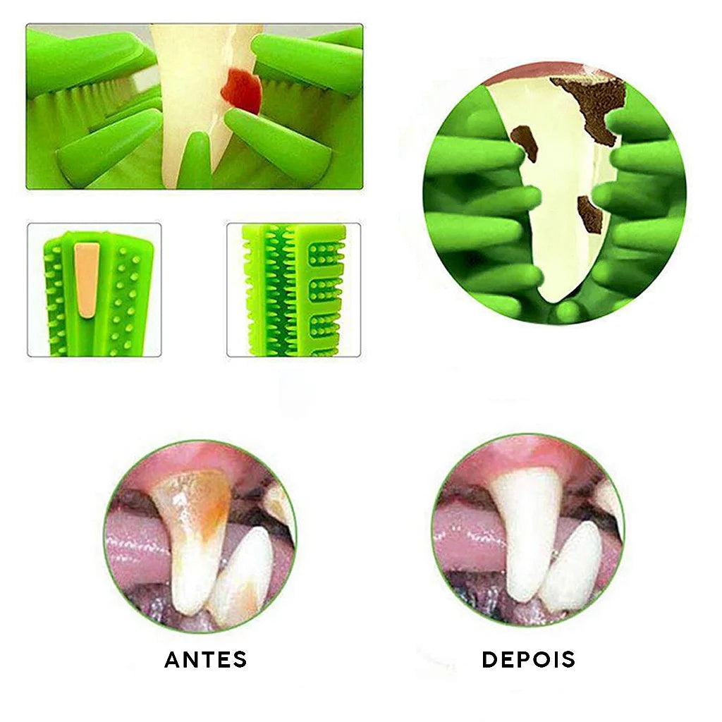 Brosse à dents Jouet pour gros chien