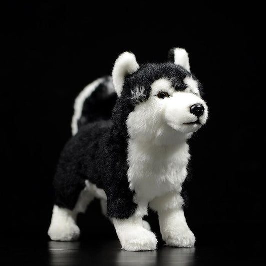 Figurine de chien Husky aux yeux mandarins, jouets en peluche pour chiens de traîneau