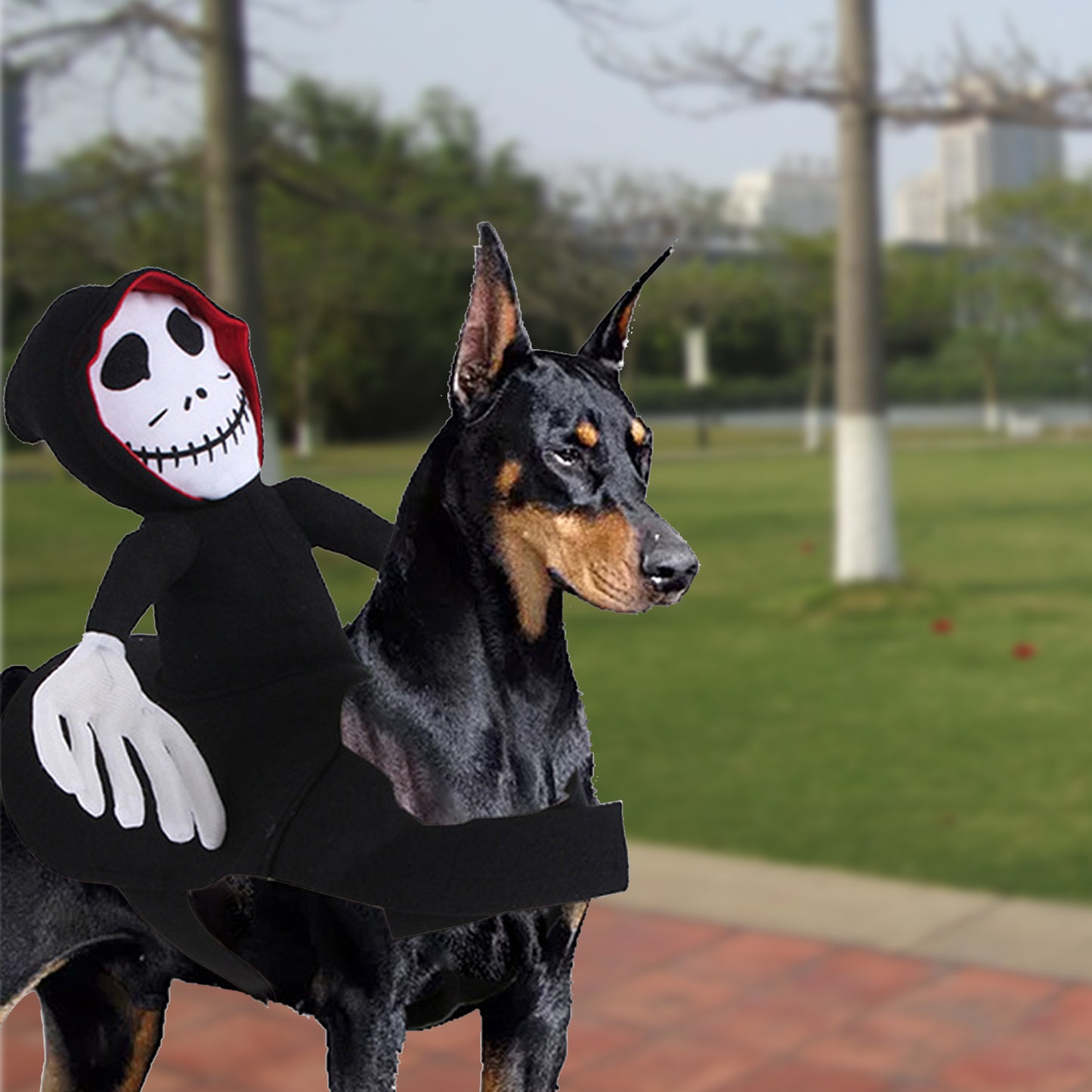 NUEVO divertido disfraz de Halloween para mascotas, decoración para mascotas de Halloween, disfraz de Cosplay para mascotas, ropa para mascotas de Halloween, chaleco de calabaza araña