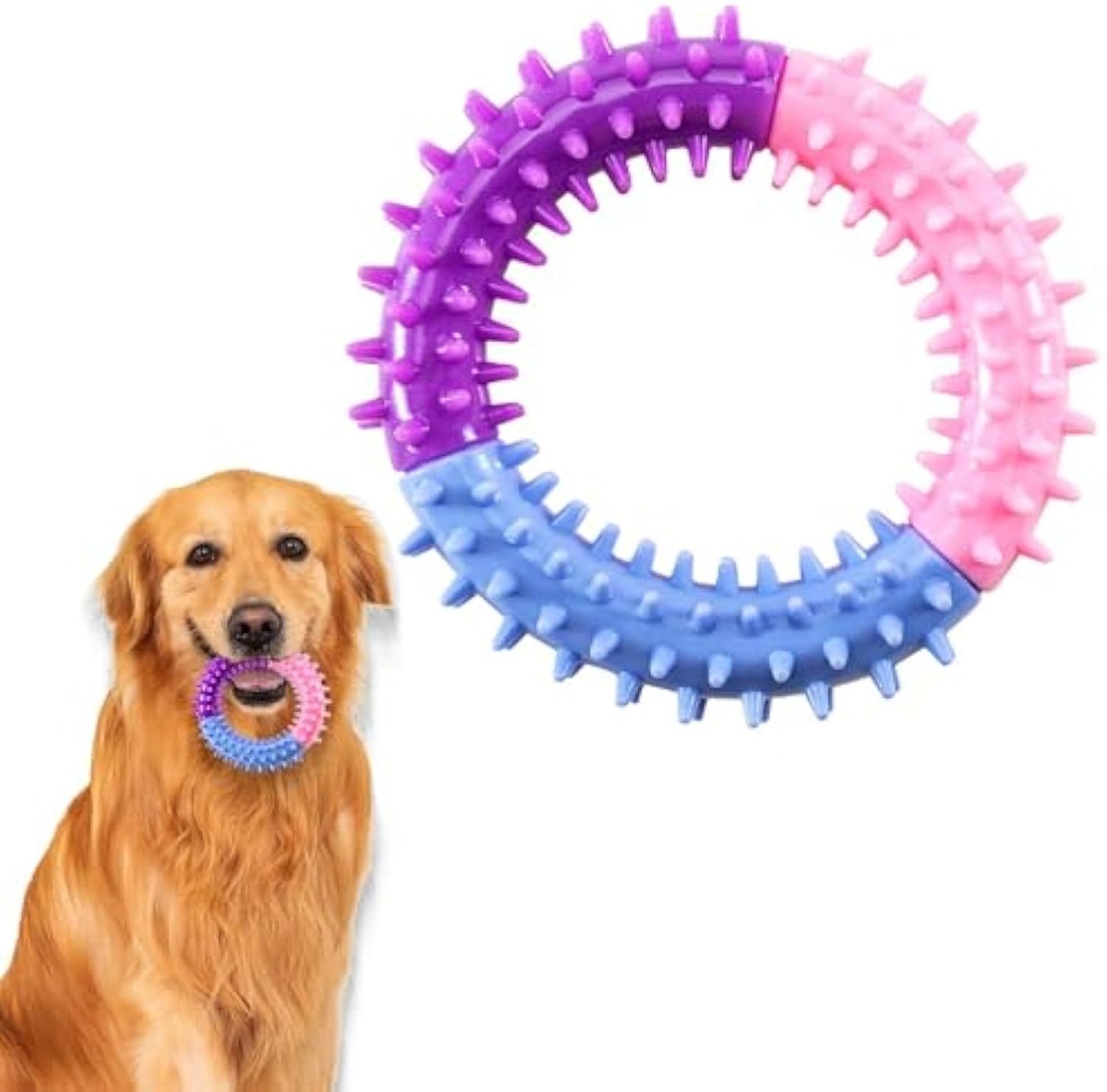 Jouets à mâcher pour chien Anneau Jouets de dentition pour chien Jouets de dentition en caoutchouc pour chiot Jouets pour animaux de compagnie pour chiens de petite, moyenne et grande taille