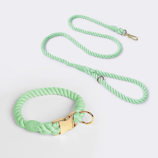 Collier pour animaux de compagnie en corde de coton de couleur dégradée tissée