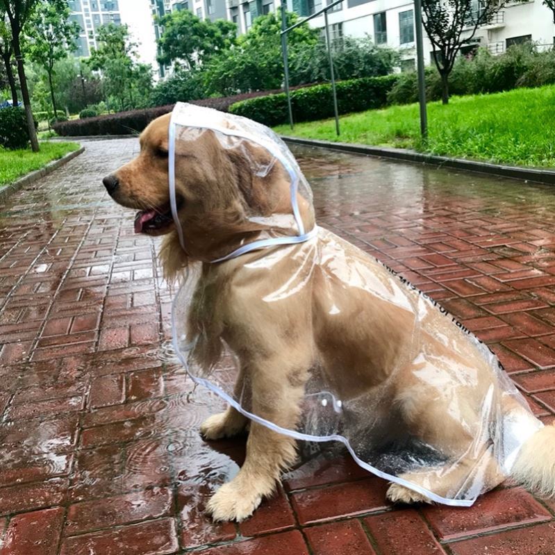 Chubasquero impermeable para perros grandes y mascotas