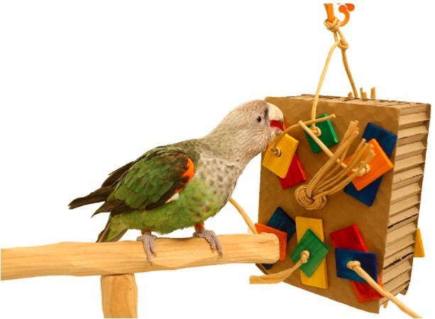 Parrot Colored Building Block Nibbling Toy