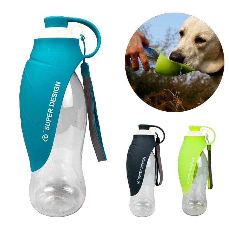 Bouteille d'eau pour animaux de compagnie de 20 OZ, motif feuille