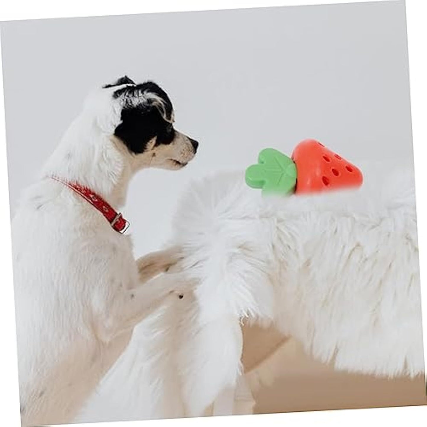 Chewy Puppy Teething Toy For Small Dogs Promoting Oral Health