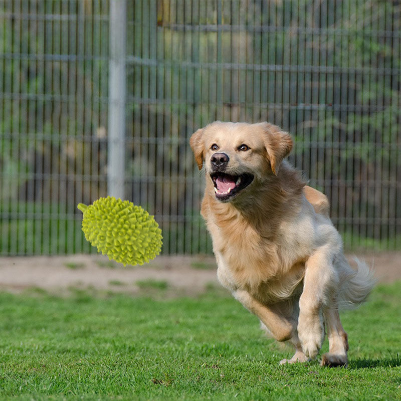 Jouets à mâcher en forme de durian pour chiens Jouets couineurs Beaux fruits Nettoyage et dressage des dents pour chiots Petits et moyens animaux de compagnie