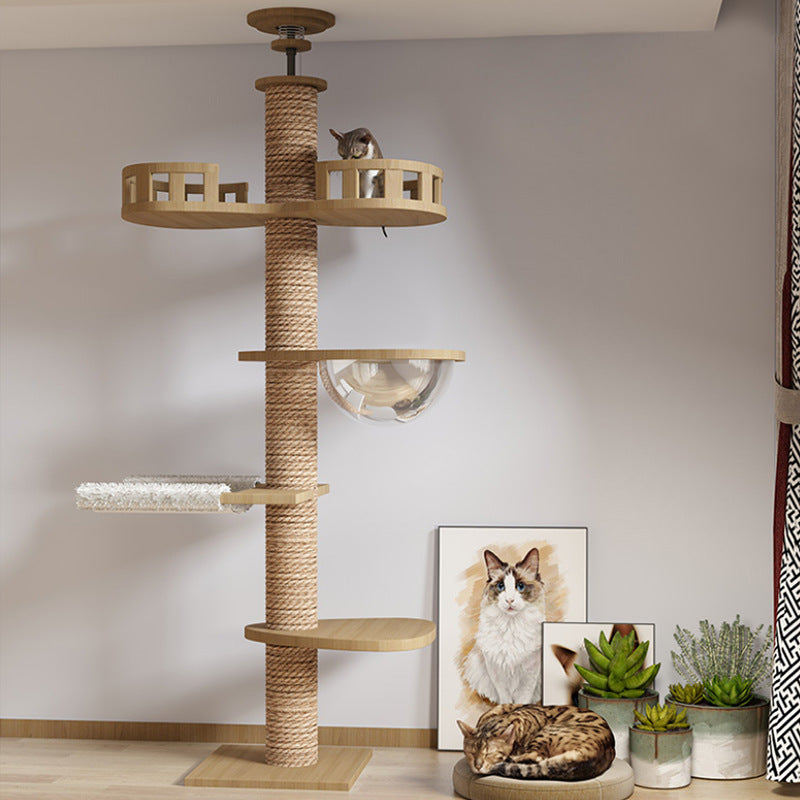 Juguetes para gatos con columpio de columna Tongtian