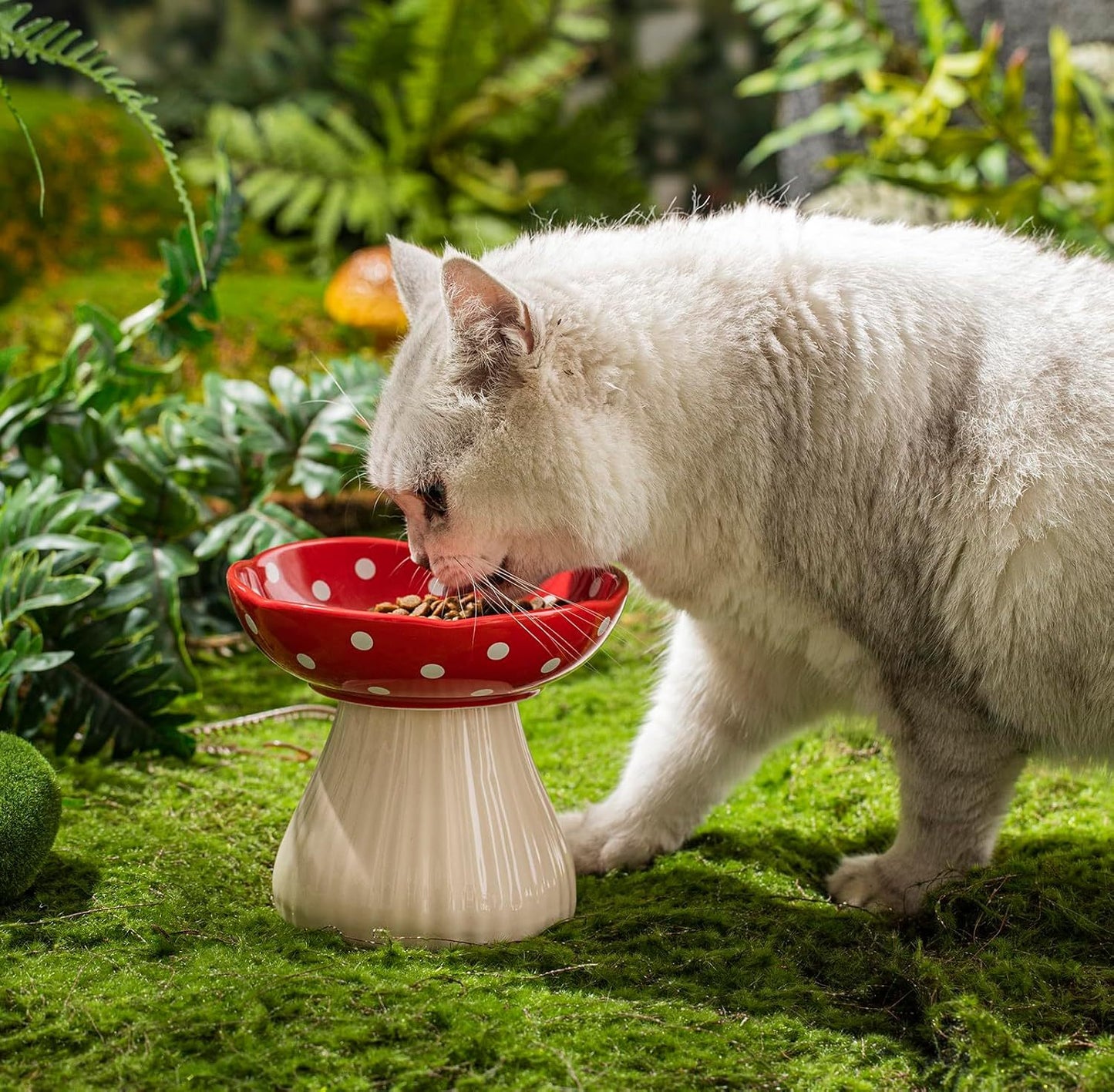 Bol pour chat surélevé en forme de champignon avec un joli design à pois et un matériau en céramique sûr pour les petits animaux de compagnie 