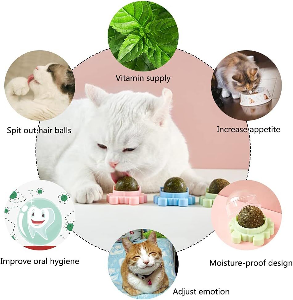 Boule murale à l'herbe à chat, jouet comestible à lécher pour chat, jouet à mâcher pour chat, nettoyage des dents, jouet à mordre pour chat, jouet d'intérieur rotatif pour chat, décoration murale pour chat