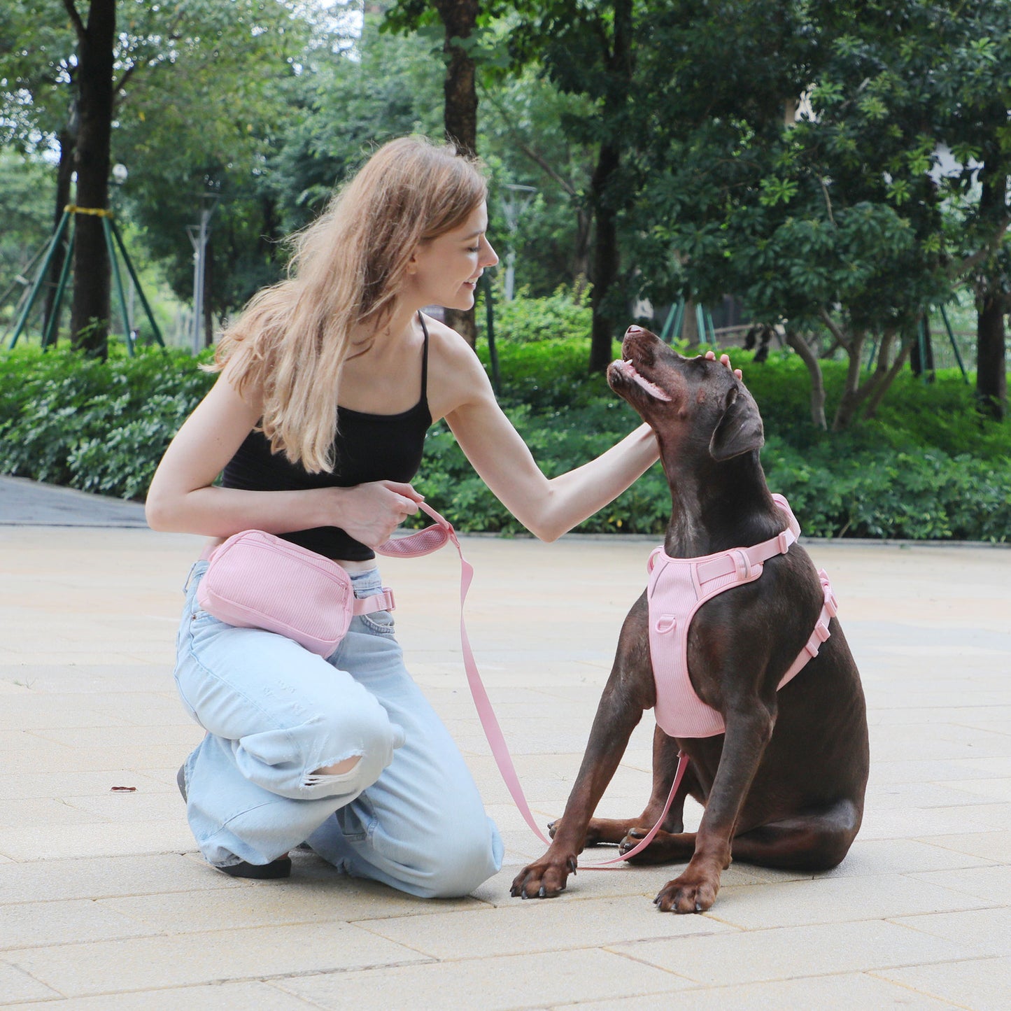 Diseño de pana rosa para el pecho de la mascota, puede tallar el bolso para pasear al perro con cuerda y Collar para escribir