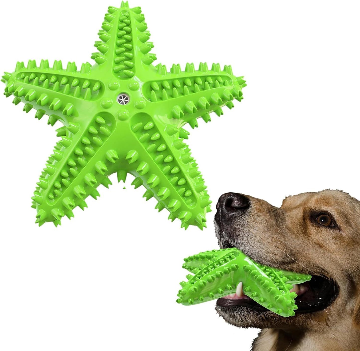 Sounding Starfish  The Natural Toothbrush For Small And Medium Dogs Starfish Natural Tooth Brush Teeth Cleaning