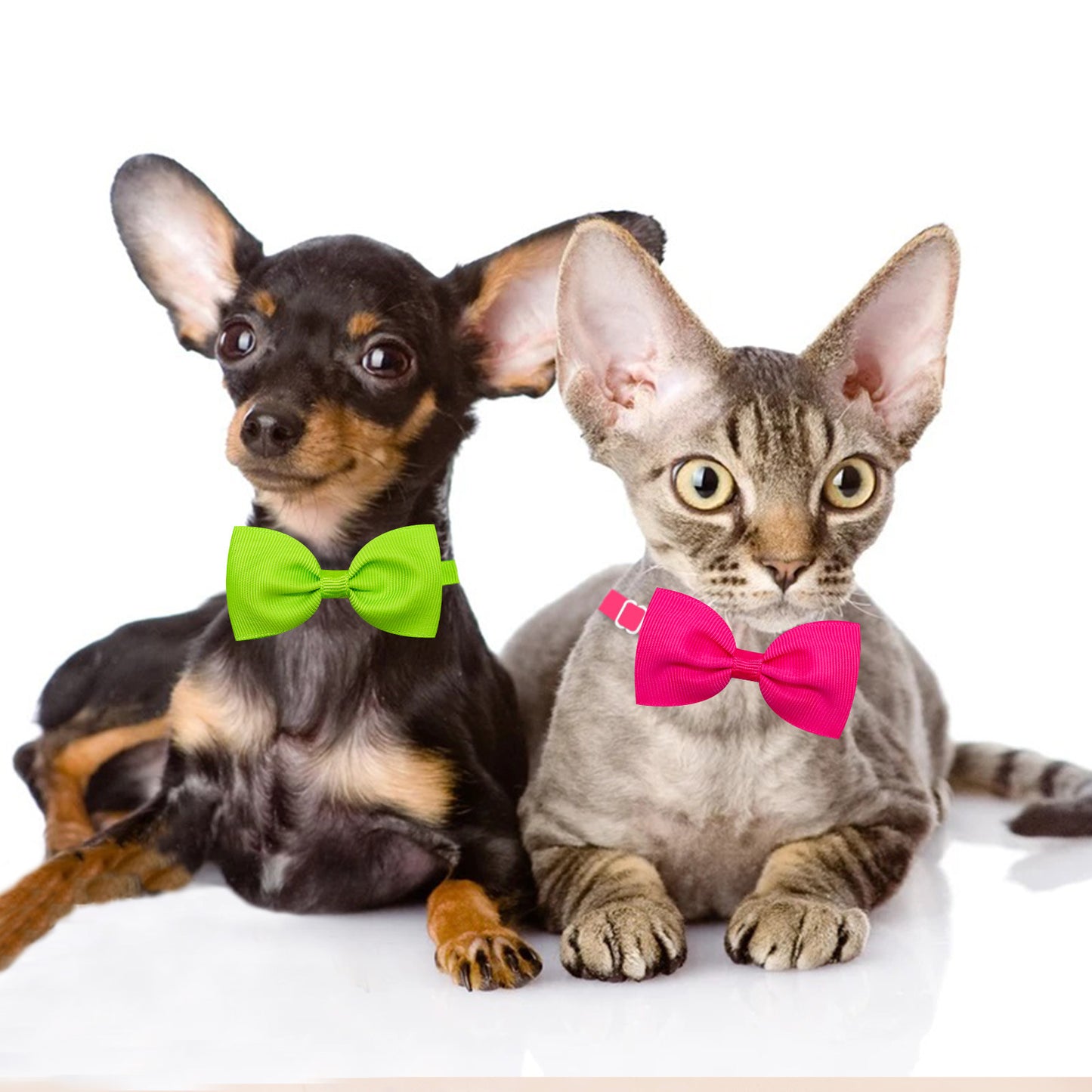 Tie Bow Adjustable Bow Tie For Cats And Dogs In Stock Pet Supplies