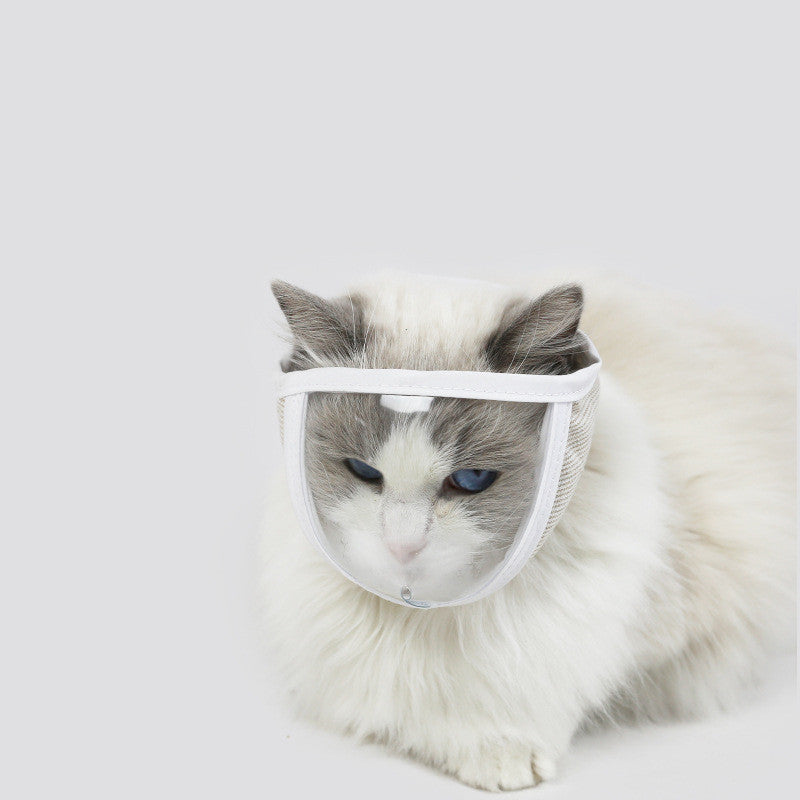 Masque Nettoyant Anti-morsure Anti-appel Transparent Oeil de Chat