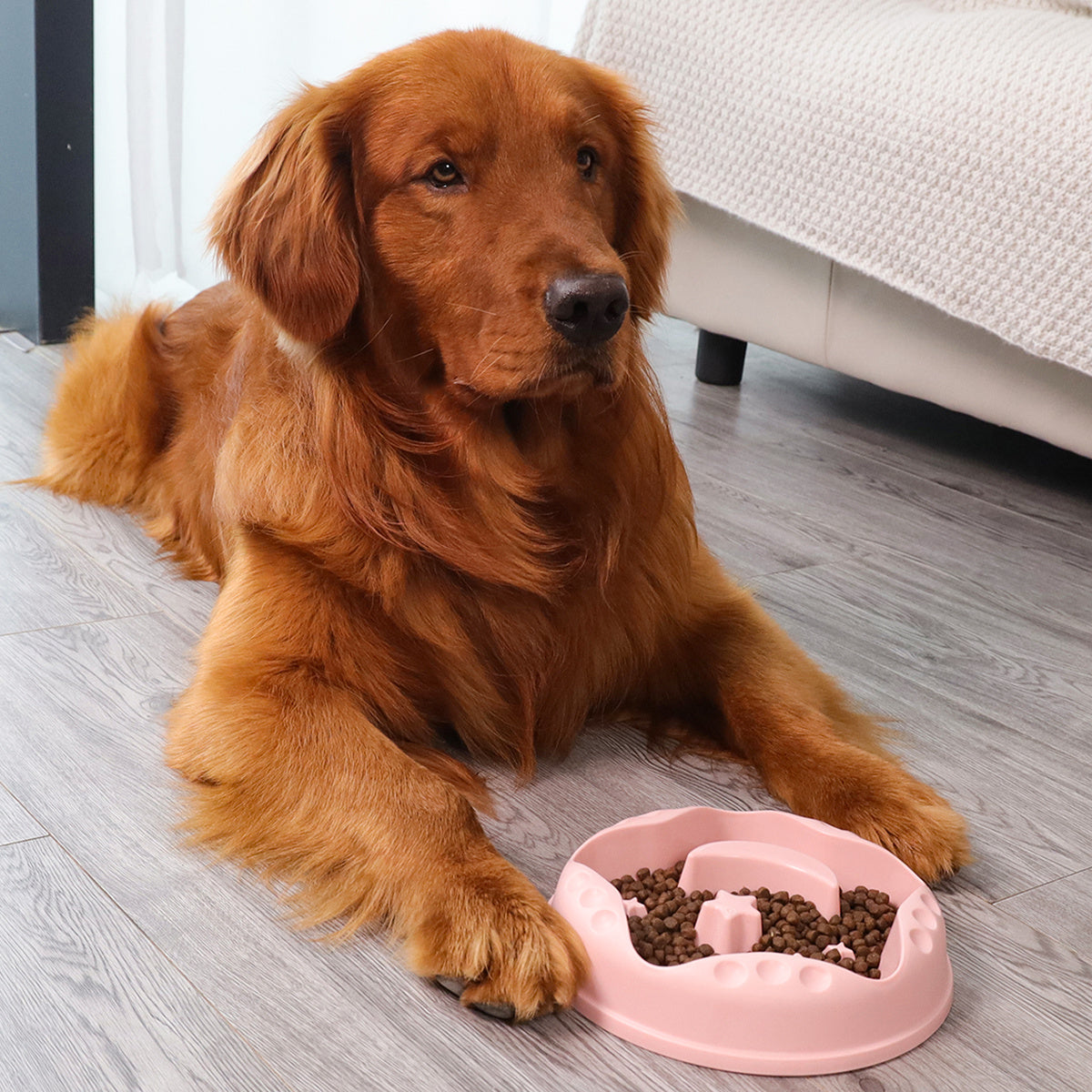 A Moon Star Wings Pet Slow Food Bowl Large Capacity Feeding Water Dog Bowl Dog Dinner Plate Pet Bowl