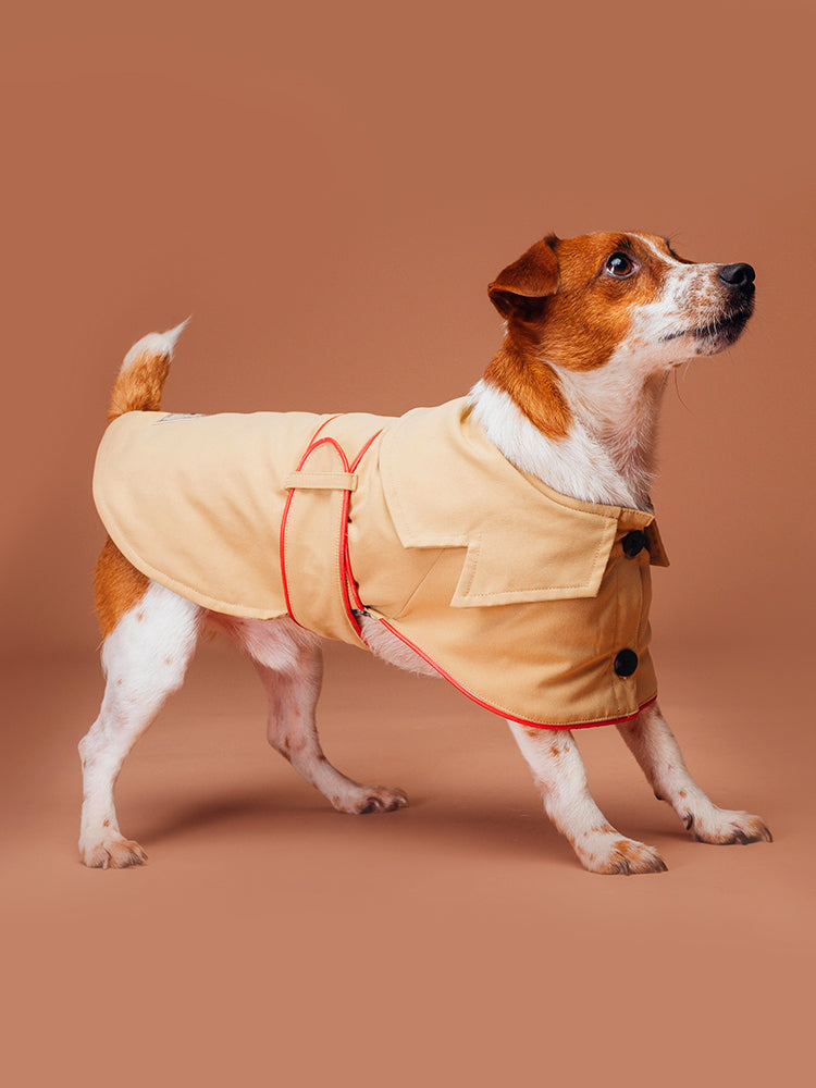 Pardessus pratique pour chien de compagnie tout en coton