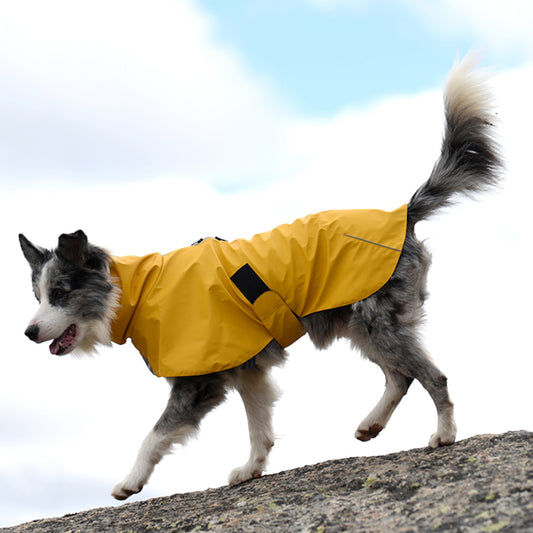 Chaqueta impermeable para mascotas impermeable a prueba de viento para perros