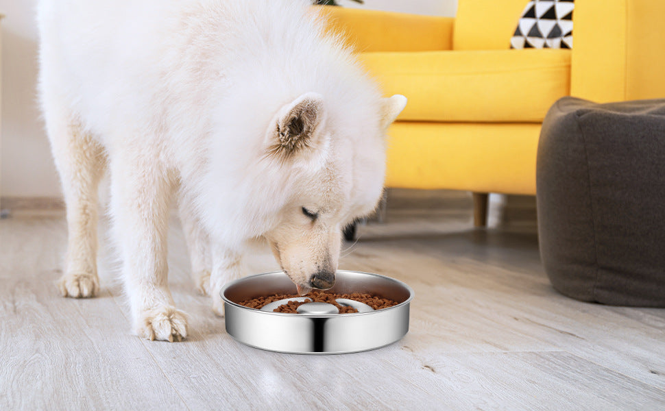 Bol d'alimentation lente pour animaux de compagnie, protecteur de cou en acier inoxydable