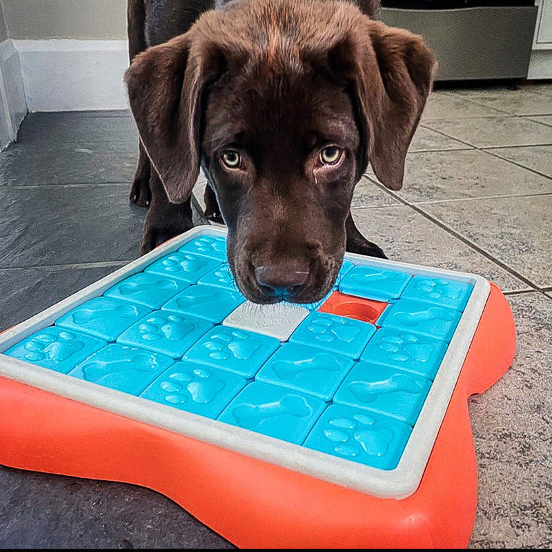 Mascota Perro Comida Oculta Juguete Intelectual