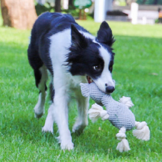 Juguete interactivo para perros resistente a mordeduras