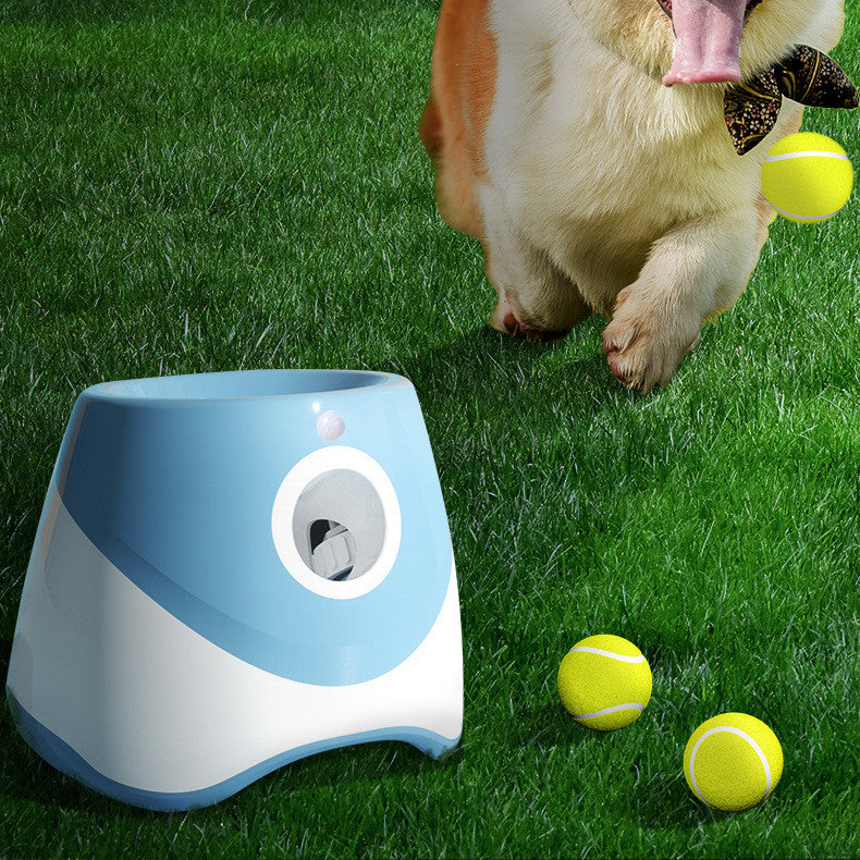 Lanzador automático de pelotas, lanzador de tenis, divertido juguete para perros