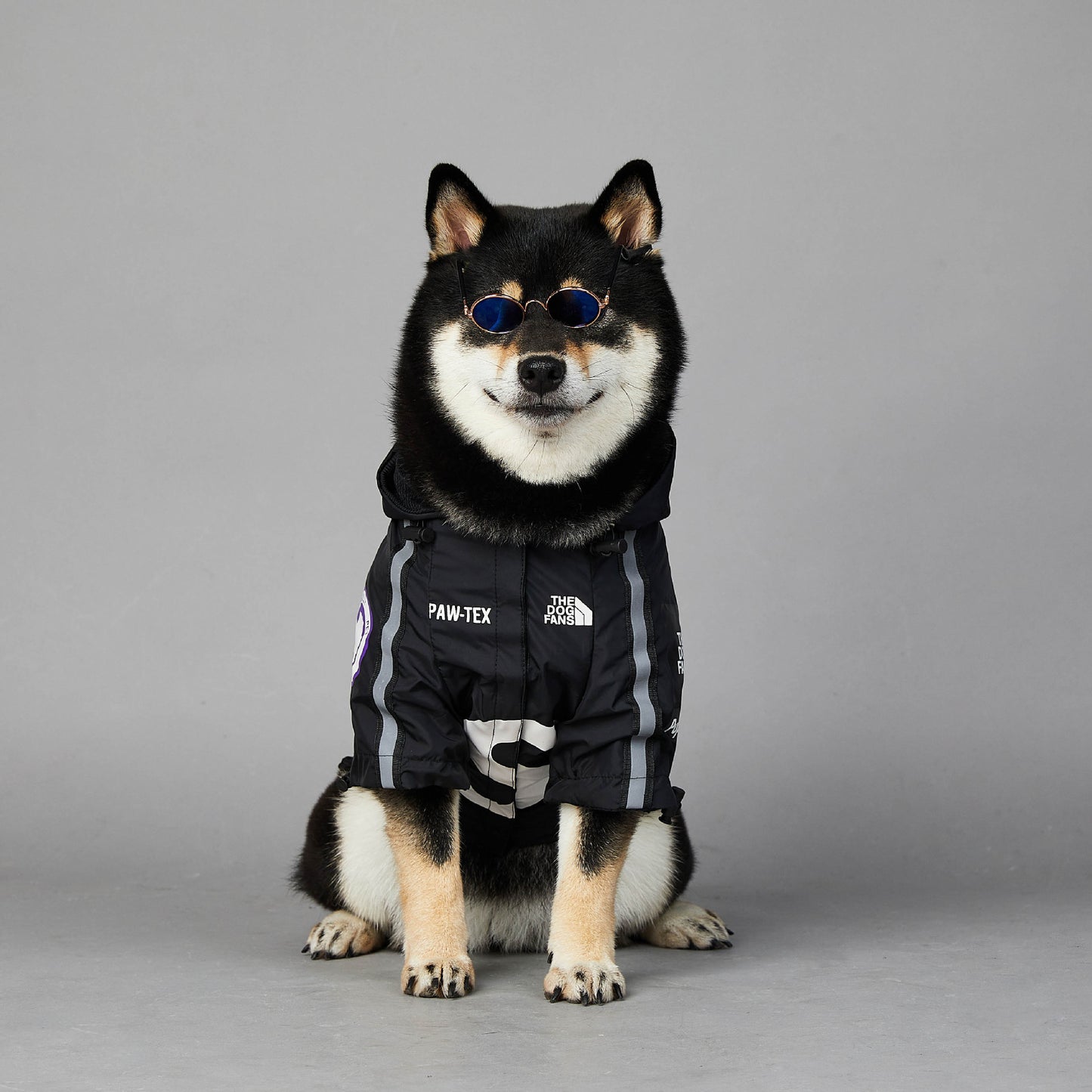 Chien coupe-vent et imperméable, grand