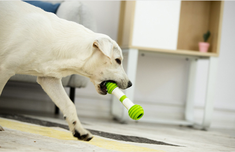 Jouet automatique électrique pour chien Guiwei Happy Bone