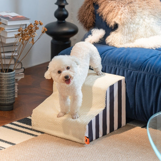 Escaleras para perros Camas con pendientes Camas Escalones para mascotas