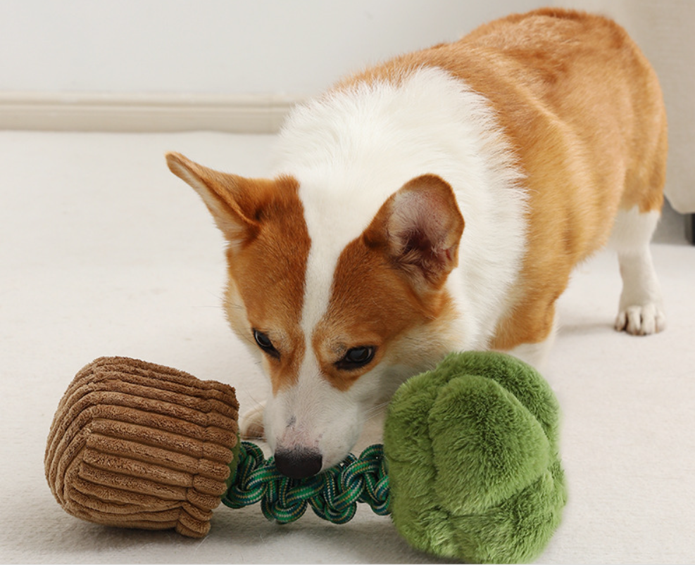 Juguete con nudo mordedor con cordón resistente a mordeduras para perros