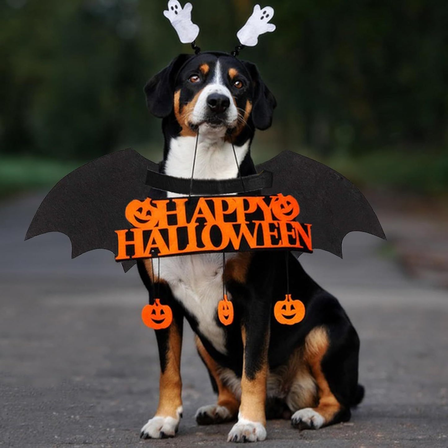 Disfraces de Halloween para perros Disfraz de murciélago para perros Esqueleto luminoso fresco Hueso Alas de murciélago Disfraces de cosplay para mascotas Ropa de vestir para perros y gatos pequeños, medianos y grandes