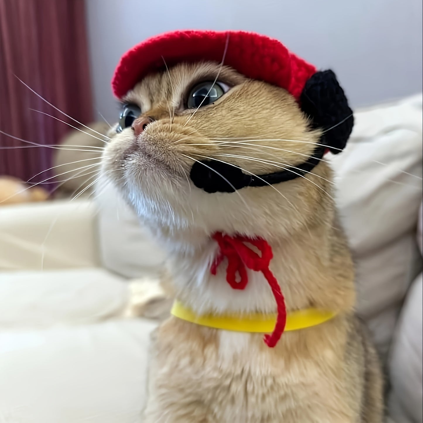 Chapeau de chef pour chat fait à la main Accessoires d'anniversaire pour animaux de compagnie Pull tricoté en coton pour chats et chiens de petite et moyenne taille Fournitures pour animaux de compagnie Vêtements pour chats 