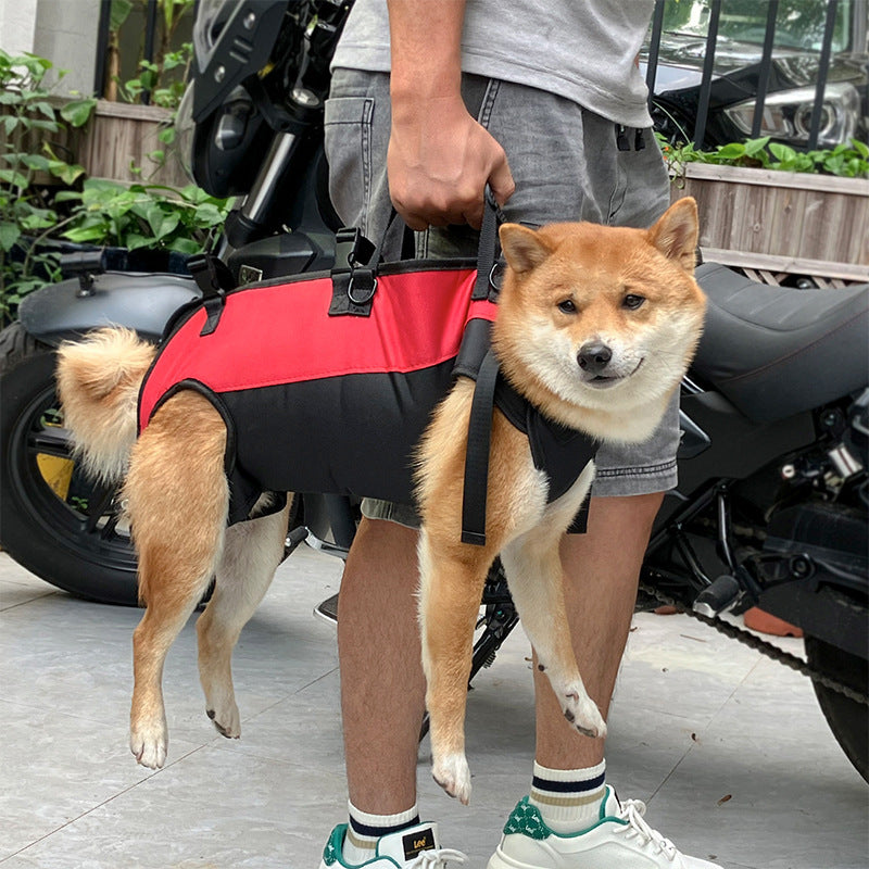 Mochila multifuncional para mascotas con camilla para caminar al aire libre en el aire