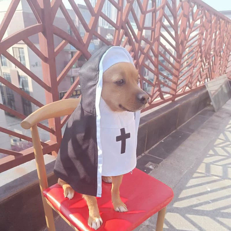 PET SHOW Nun Dog Costume For Small Medium Dogs Halloween Cosplay Outfit Black White Cloak Dress Up Pets Apparel Holiday Party Clothes Boys Girls