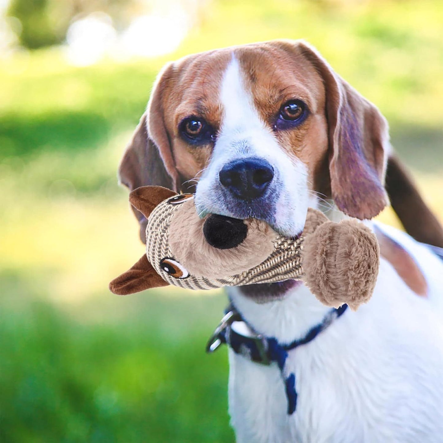 Juguetes chirriantes para perros grandes, peluche de perro, juguete interactivo para perros, juguete masticable de peluche para perros, juguetes estimulantes para mascotas con chirridos para perros medianos y grandes, cachorros