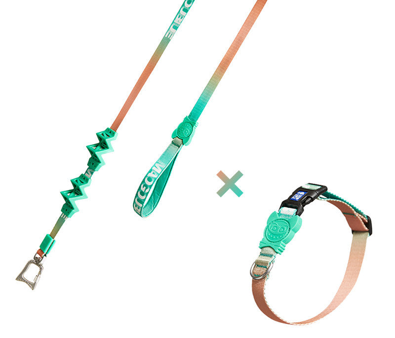 Buffer And Shock-absorbing Dog Pet Leash